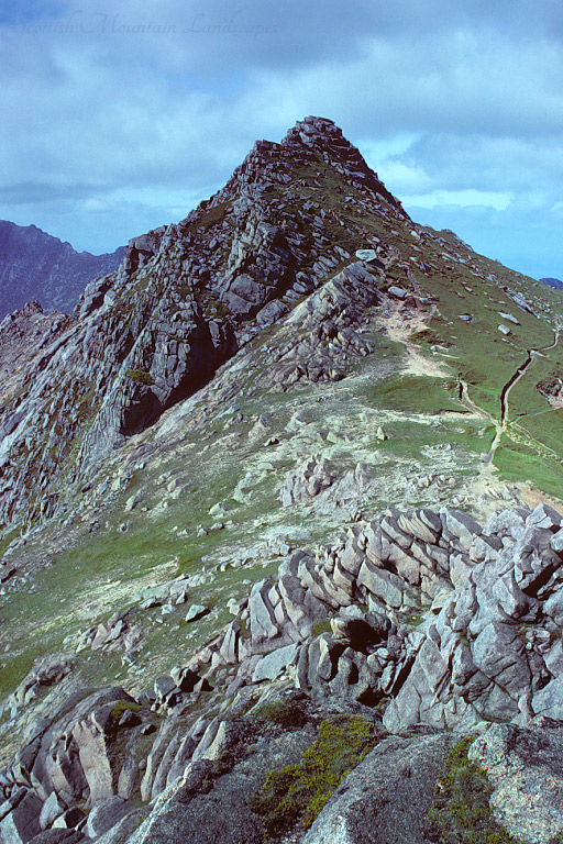 The summit of North Goatfell, from the south.
