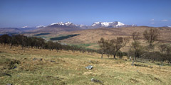 The Black Mount, from Crannach Wood.