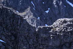 Ben Nevis: Tower Ridge and Tower Gap.