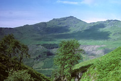 Ben Donich, from the lower slopes of Beinn Ime.