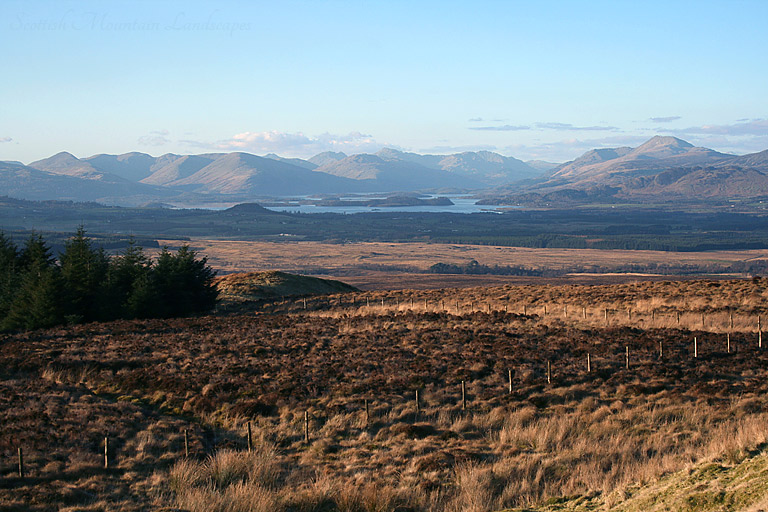 Looking north-west from The Whangie, over Stockie Muir and Cameron Muir. Looking north-west from The Whangie, over Stockie Muir and Cameron Muir.