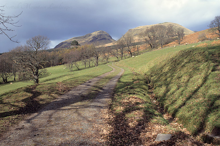 Dumgoyne and Dumfoyn, from Campsie Dene Road.