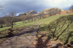 Dumgoyne and Dumfoyn, from Campsie Dene Road.