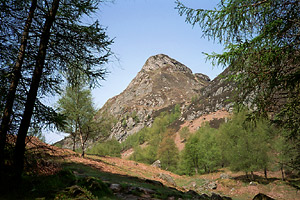 p004_16.jpg